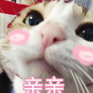 偷拍色情舞厅视频
